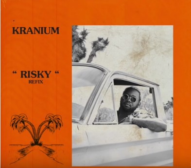 [MUSIC] : Kranium - Risky (Refix)