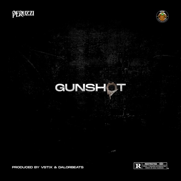 [MUSIC] : Peruzzi - Gunshot
